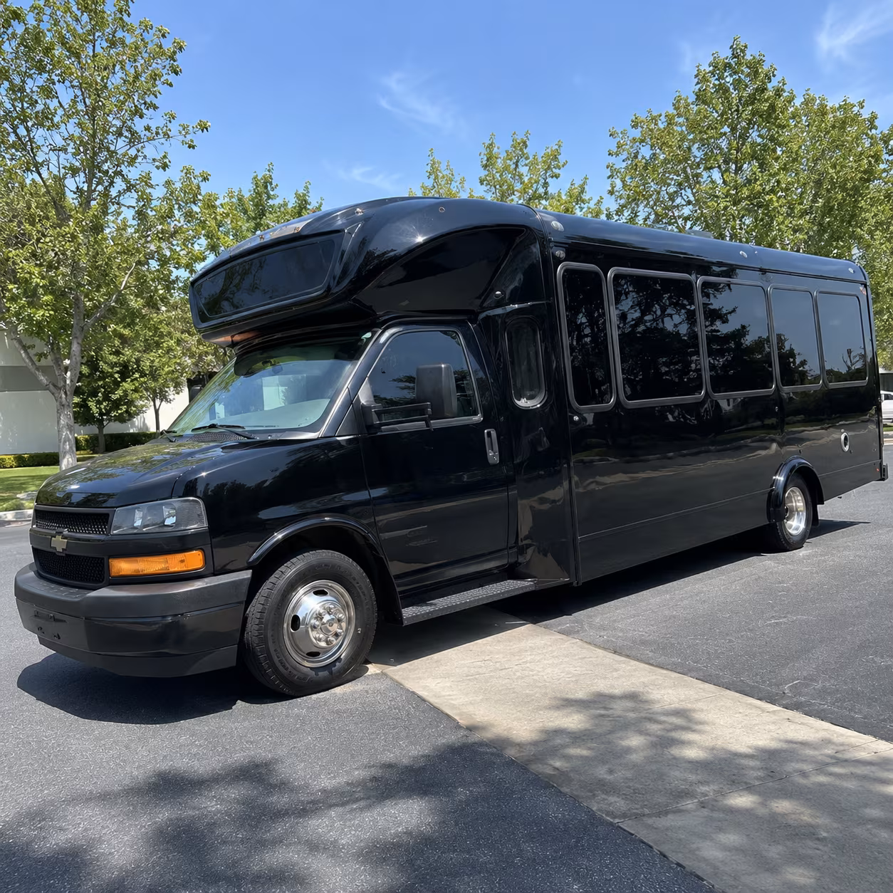 minneapolis 15 passenger party bus