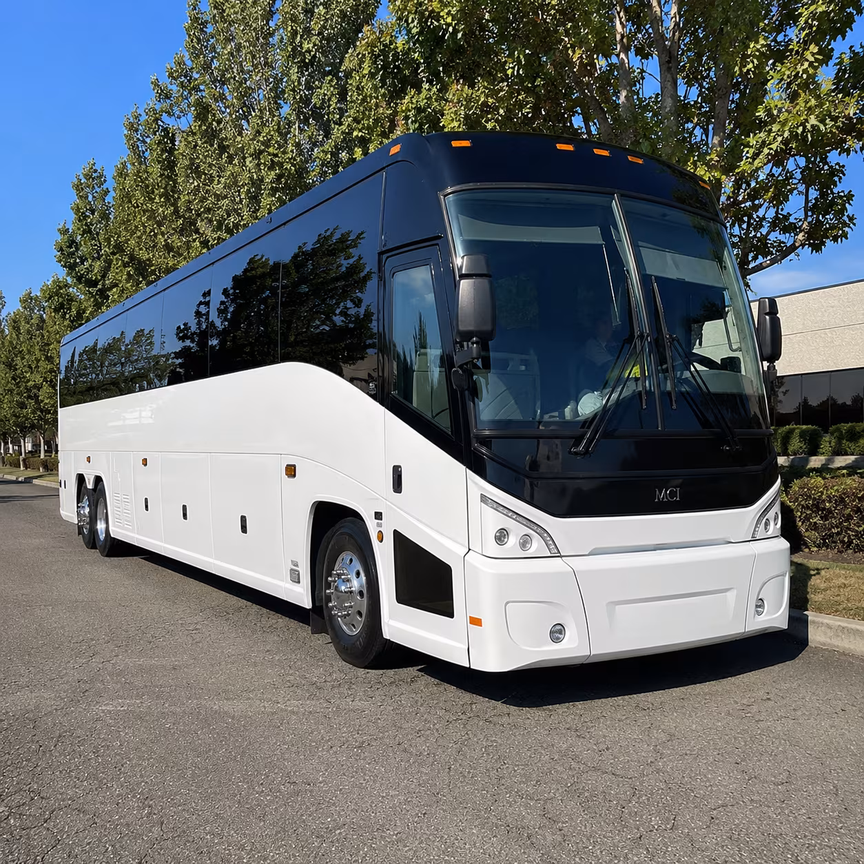 minneapolis 50 passenger charter bus