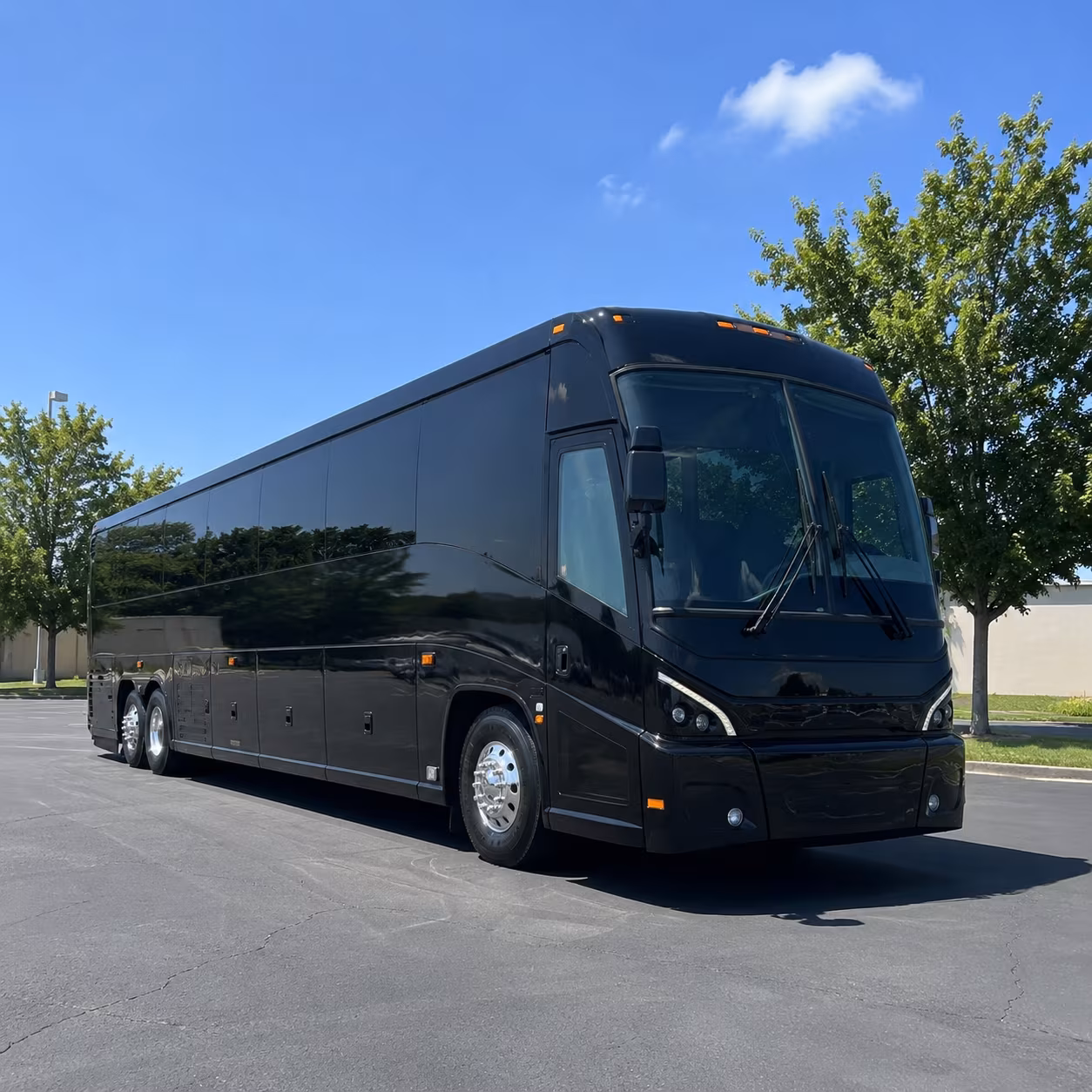 minneapolis 56 passenger charter bus