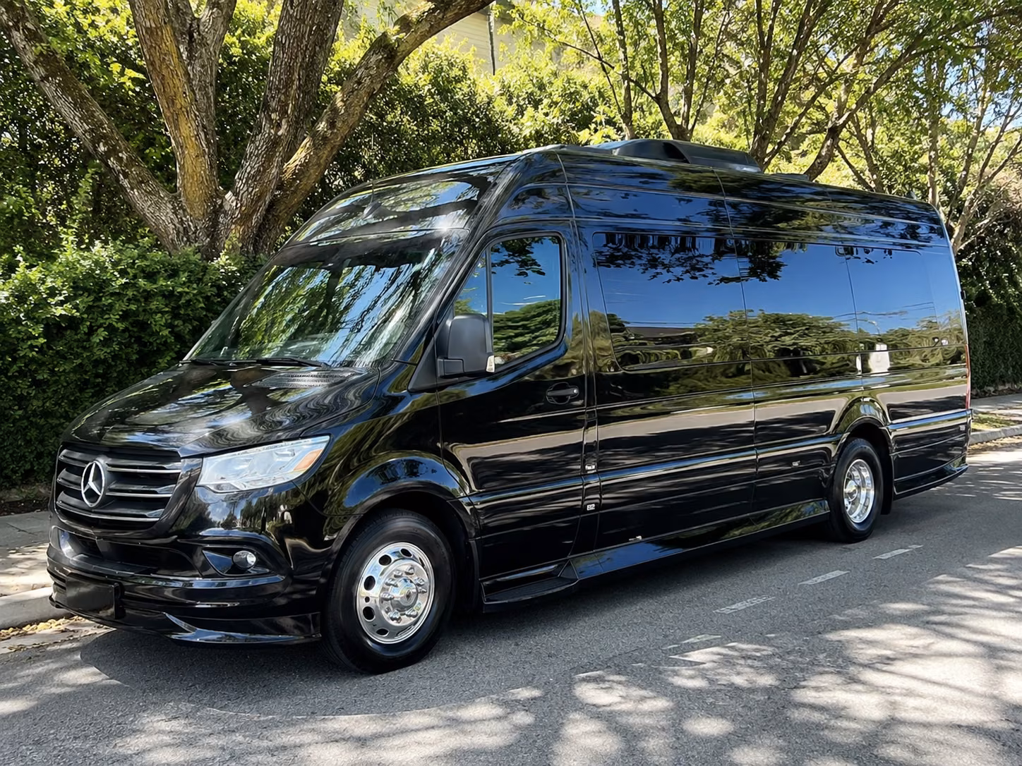 minneapolis birthday party transportation onboard seating