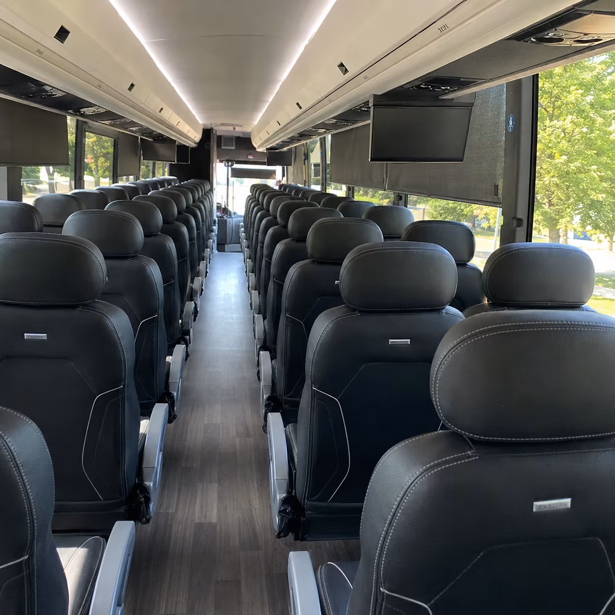 minneapolis birthday party transportation
