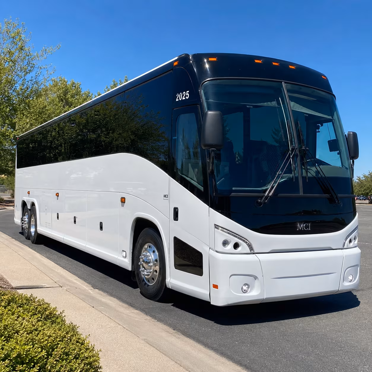 minneapolis family reunion charter bus rental