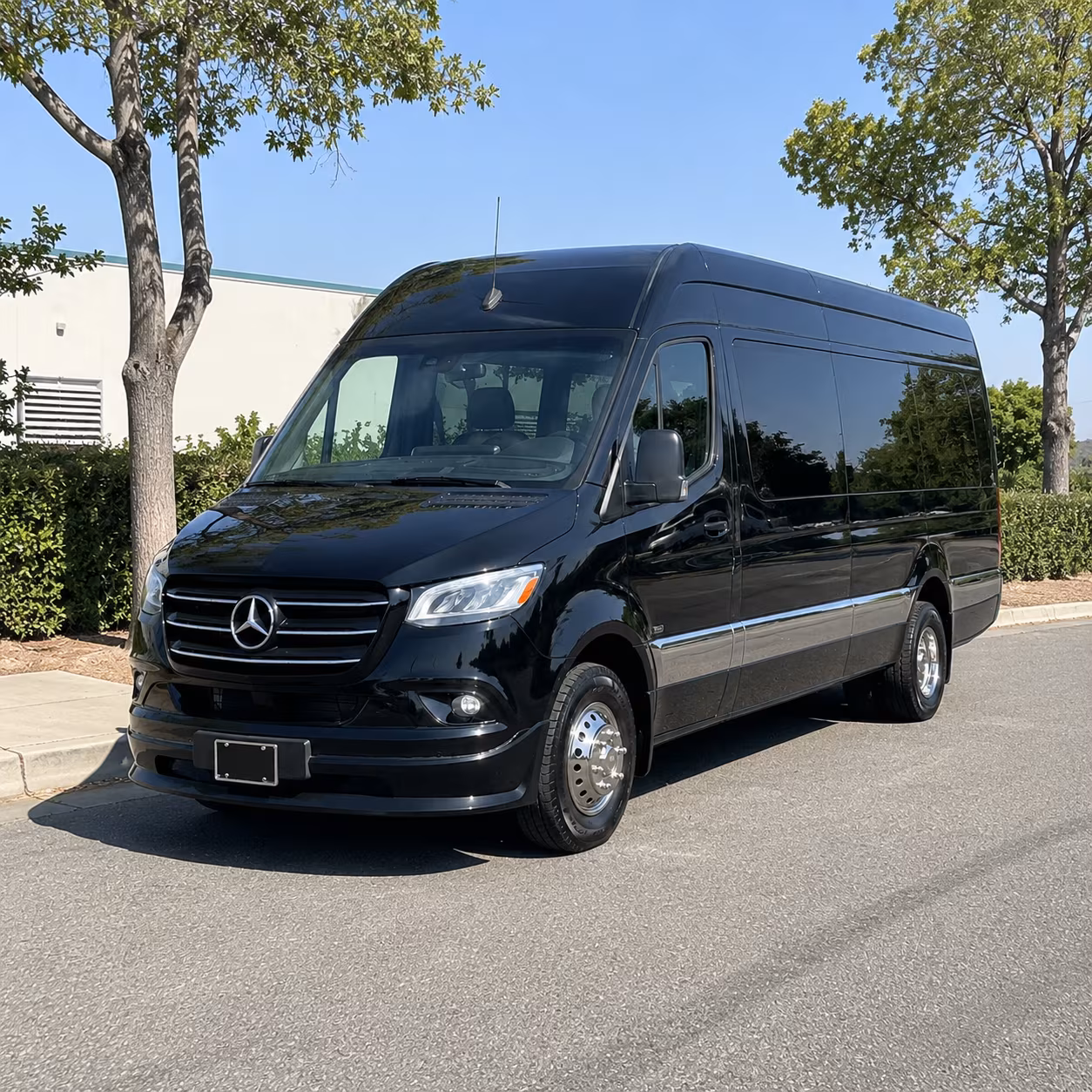 minneapolis sprinter van with driver